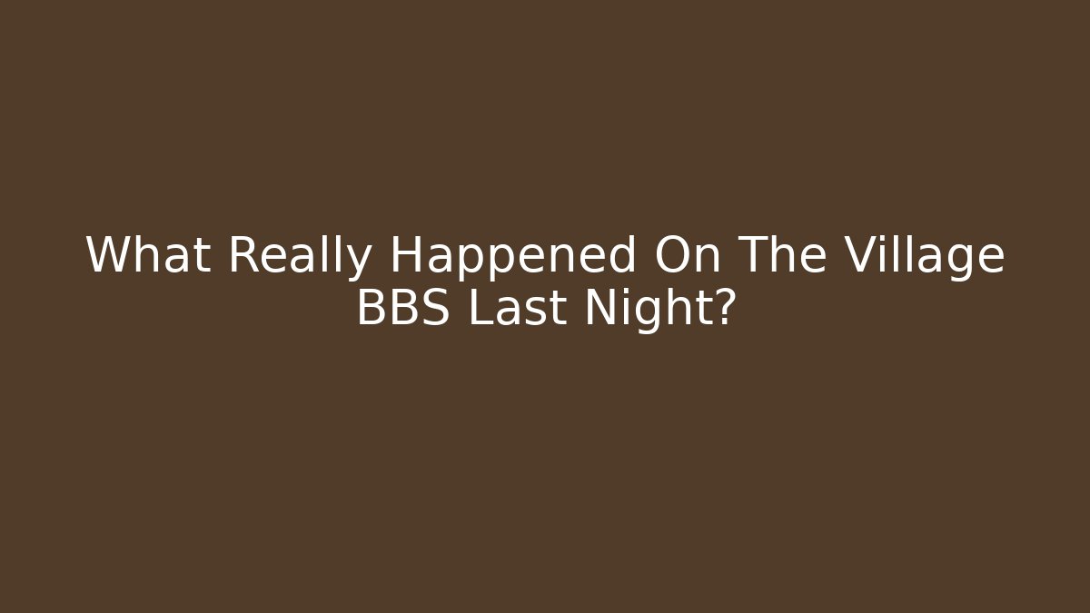 What Really Happened On The Village BBS Last Night?