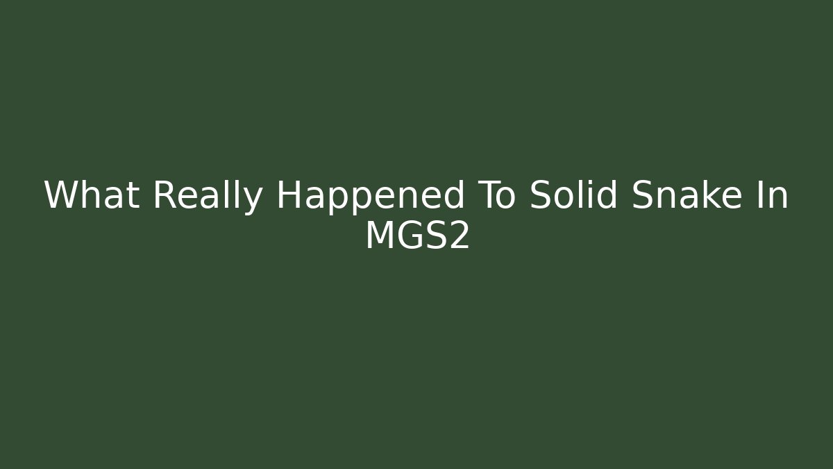 What Really Happened To Solid Snake In MGS2