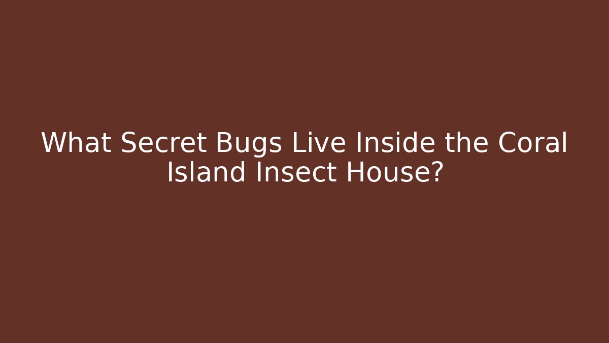 What Secret Bugs Live Inside the Coral Island Insect House?