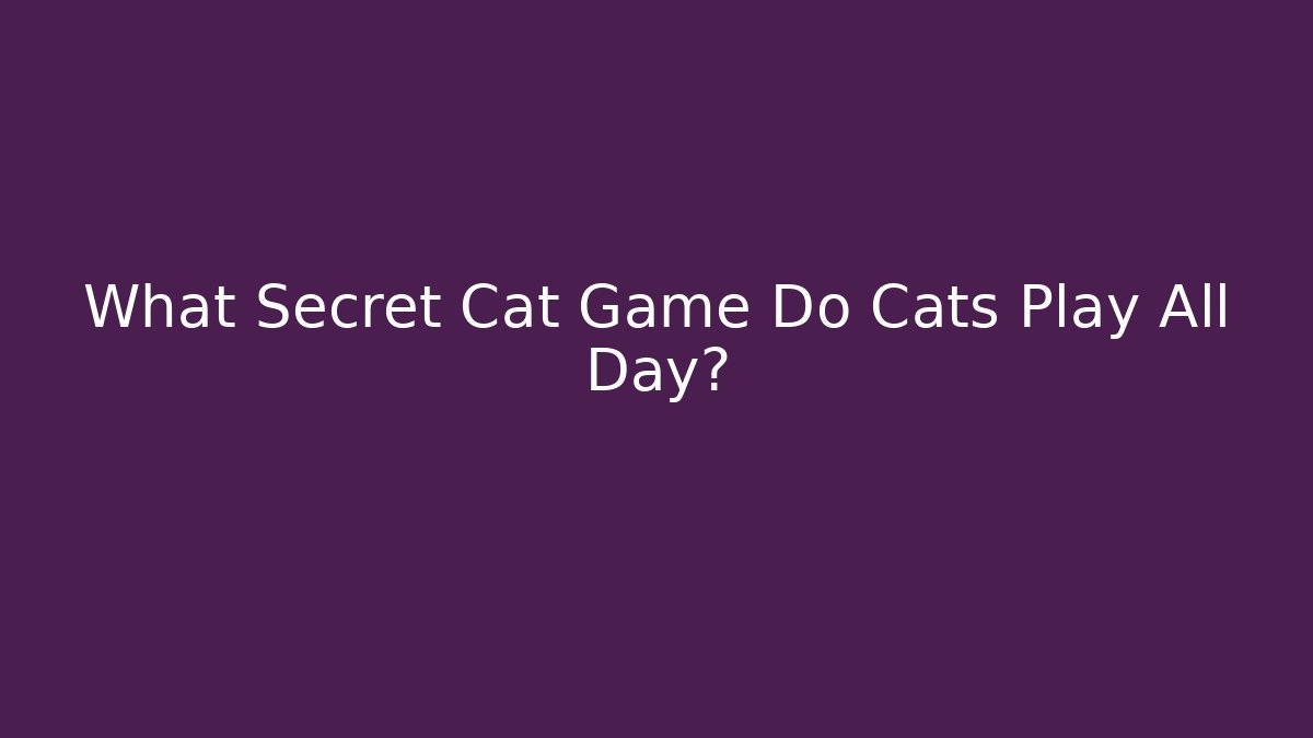 What Secret Cat Game Do Cats Play All Day?