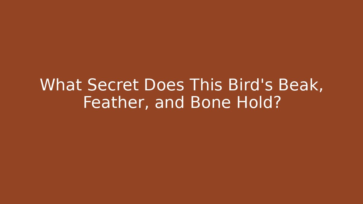 What Secret Does This Bird's Beak, Feather, and Bone Hold?