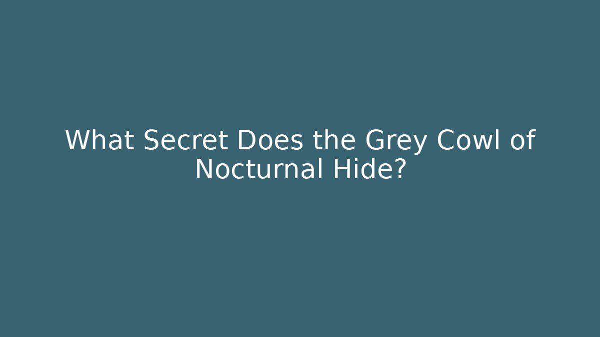 What Secret Does the Grey Cowl of Nocturnal Hide?
