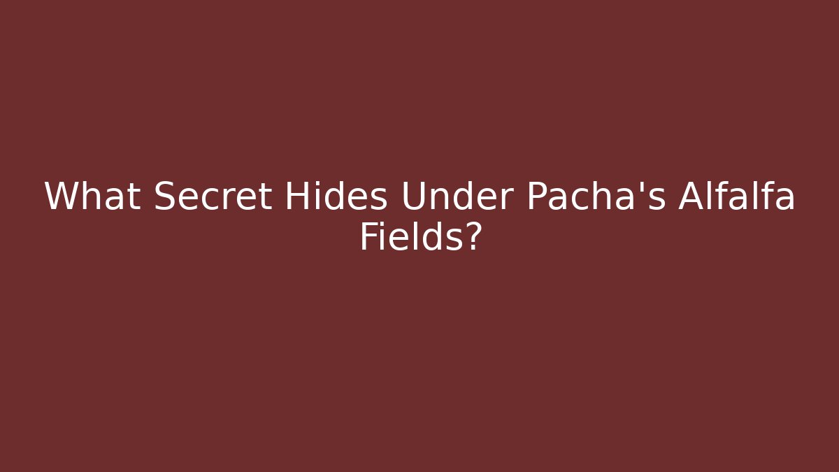 What Secret Hides Under Pacha's Alfalfa Fields?