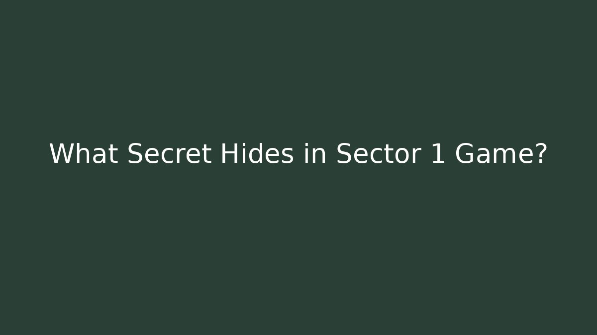 What Secret Hides in Sector 1 Game?