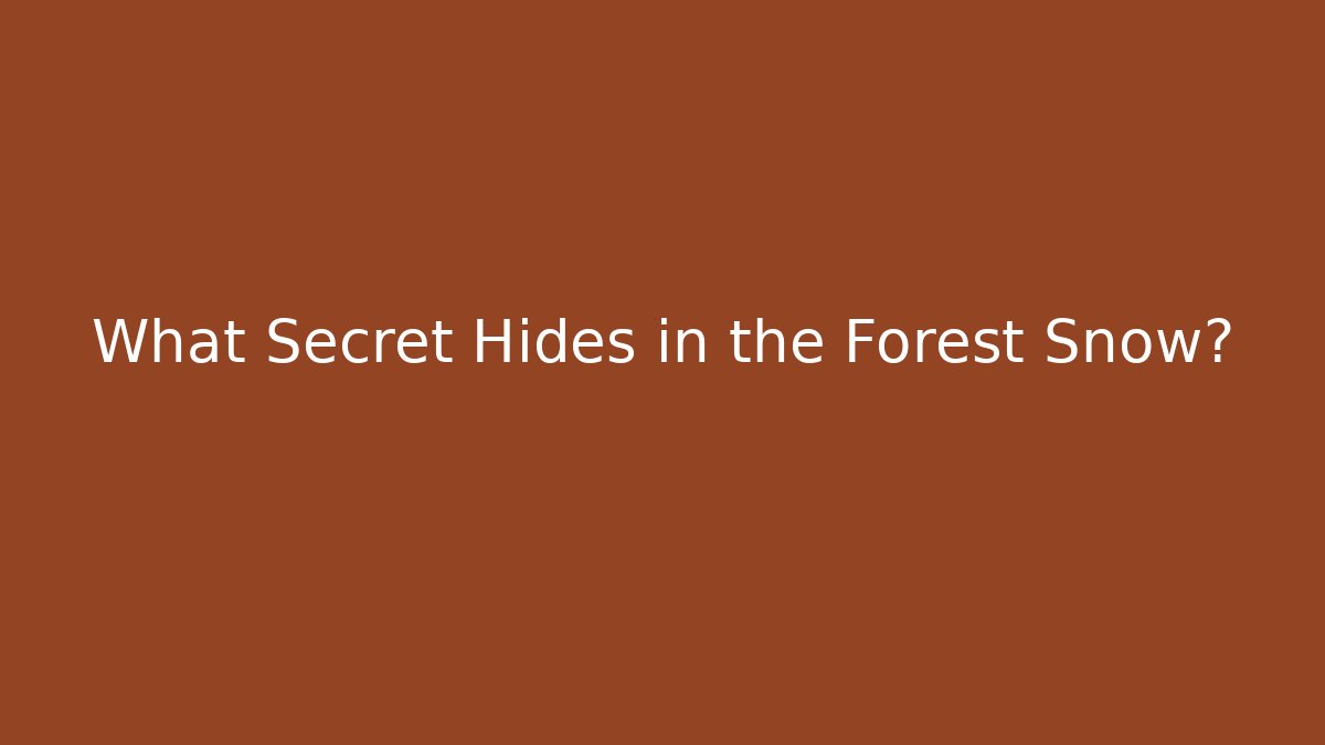 What Secret Hides in the Forest Snow?