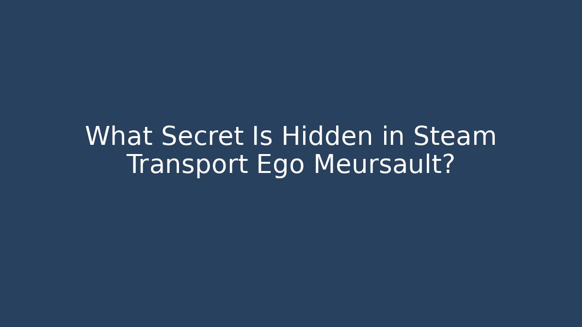 What Secret Is Hidden in Steam Transport Ego Meursault?