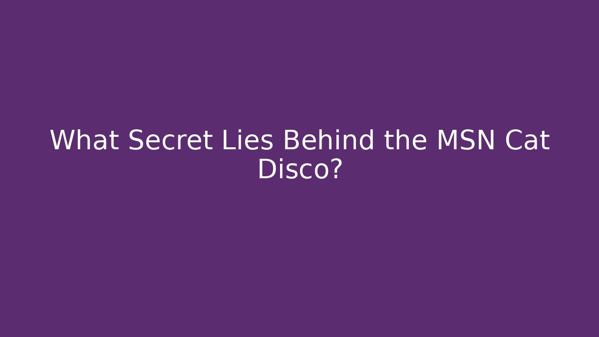What Secret Lies Behind the MSN Cat Disco?