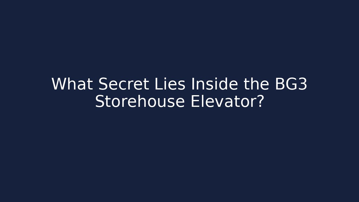 What Secret Lies Inside the BG3 Storehouse Elevator?