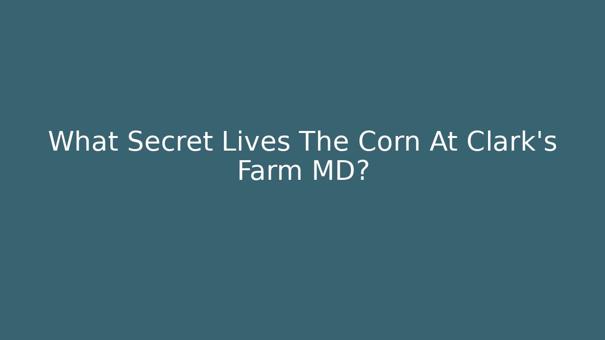 What Secret Lives The Corn At Clark's Farm MD?