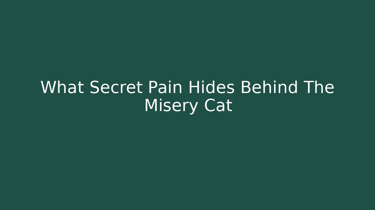 What Secret Pain Hides Behind The Misery Cat