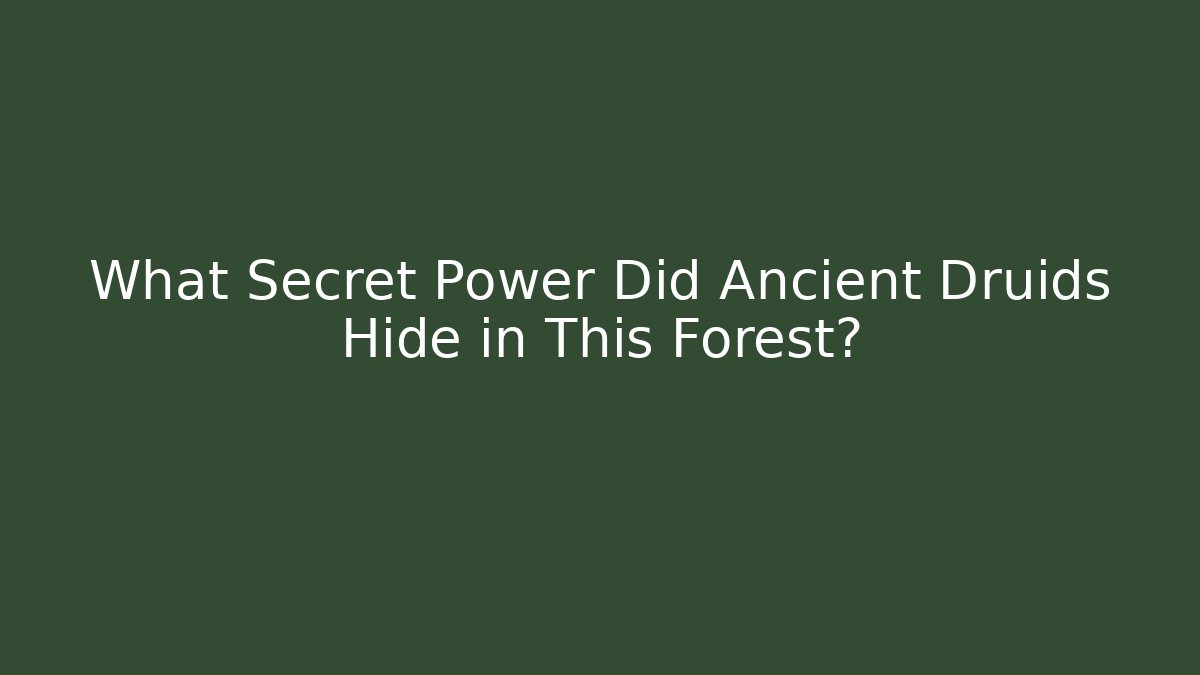 What Secret Power Did Ancient Druids Hide in This Forest?