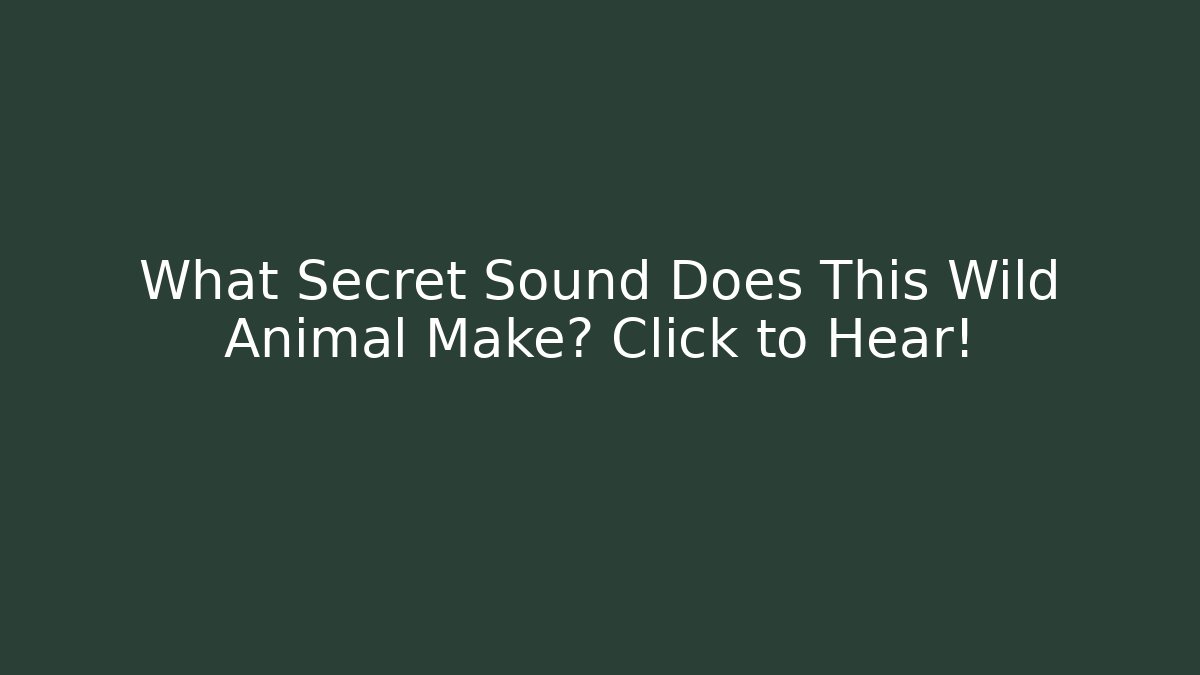 What Secret Sound Does This Wild Animal Make? Click to Hear!