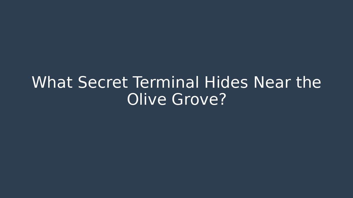 What Secret Terminal Hides Near the Olive Grove?