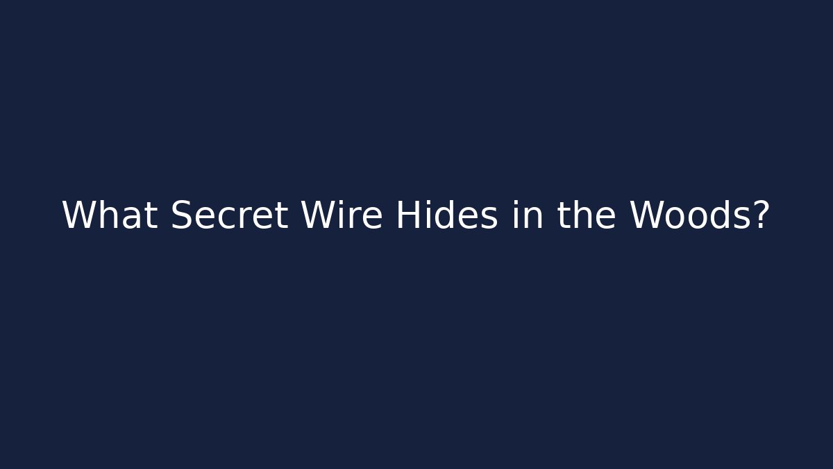 What Secret Wire Hides in the Woods?