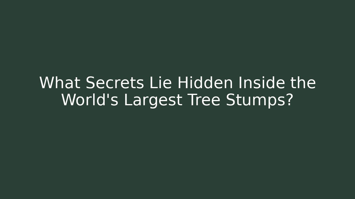 What Secrets Lie Hidden Inside the World's Largest Tree Stumps? - Critter Realm