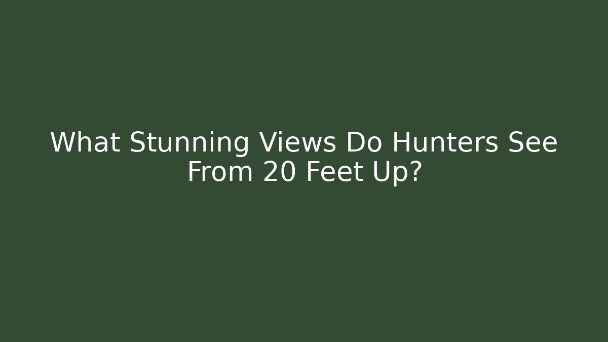 What Stunning Views Do Hunters See From 20 Feet Up?