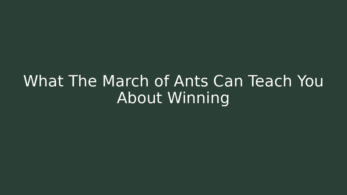 What The March of Ants Can Teach You About Winning
