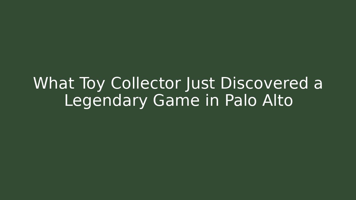 What Toy Collector Just Discovered a Legendary Game in Palo Alto