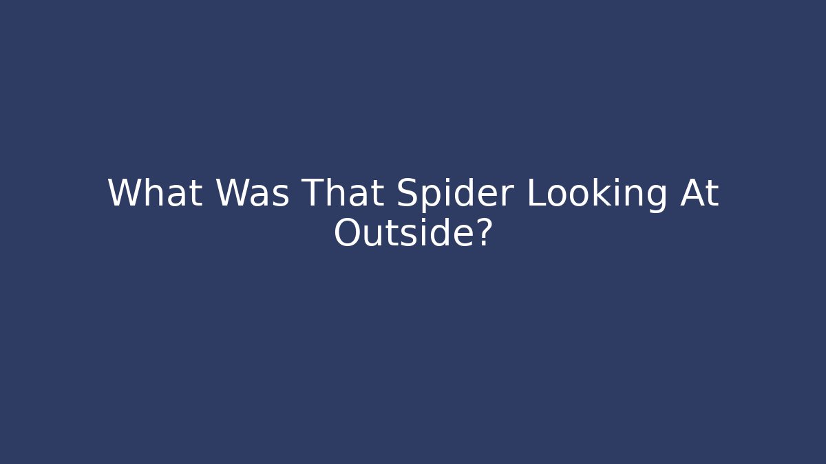 What Was That Spider Looking At Outside? - Critter Realm