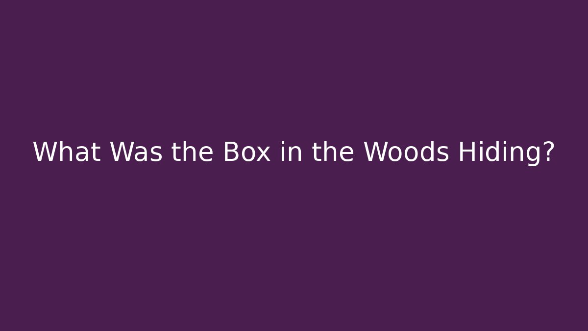 What Was the Box in the Woods Hiding?