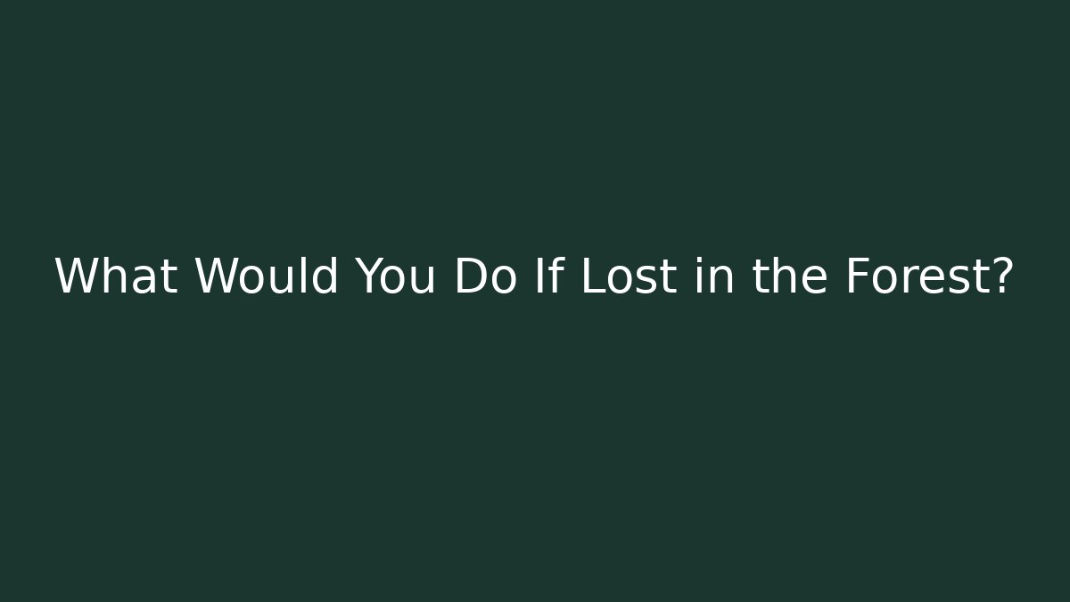 What Would You Do If Lost in the Forest?