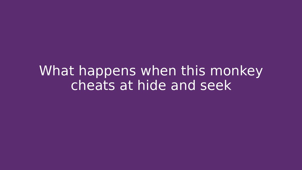 What happens when this monkey cheats at hide and seek - Critter Realm