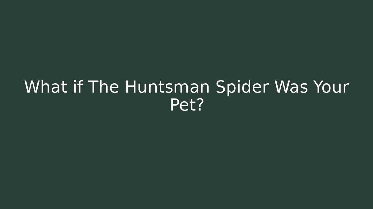 What if The Huntsman Spider Was Your Pet? - Critter Realm