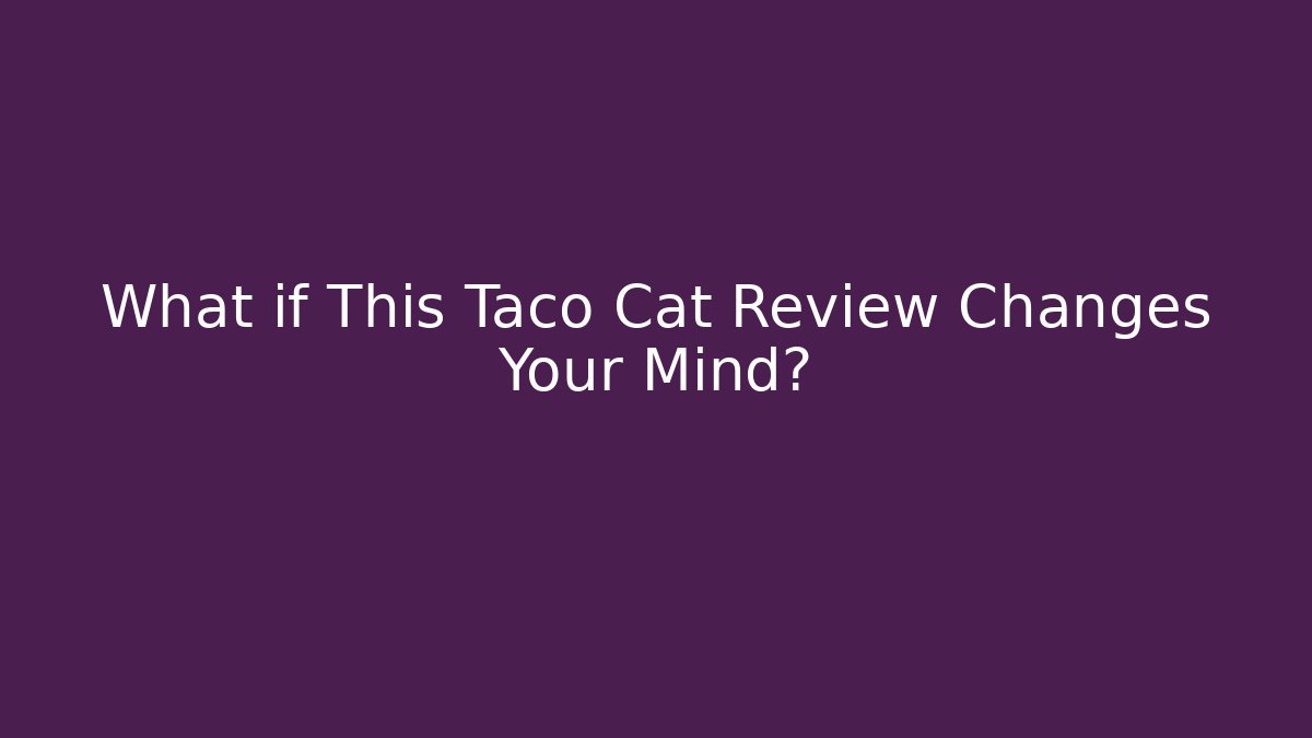 What if This Taco Cat Review Changes Your Mind? - Critter Realm