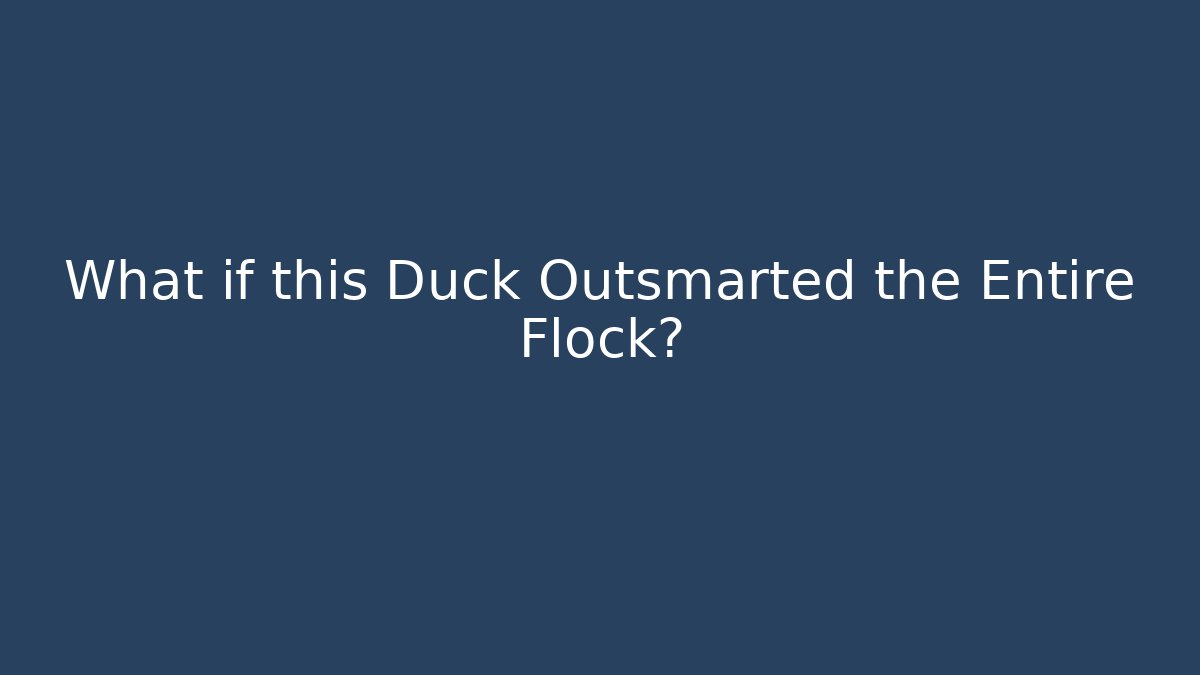 What if this Duck Outsmarted the Entire Flock?