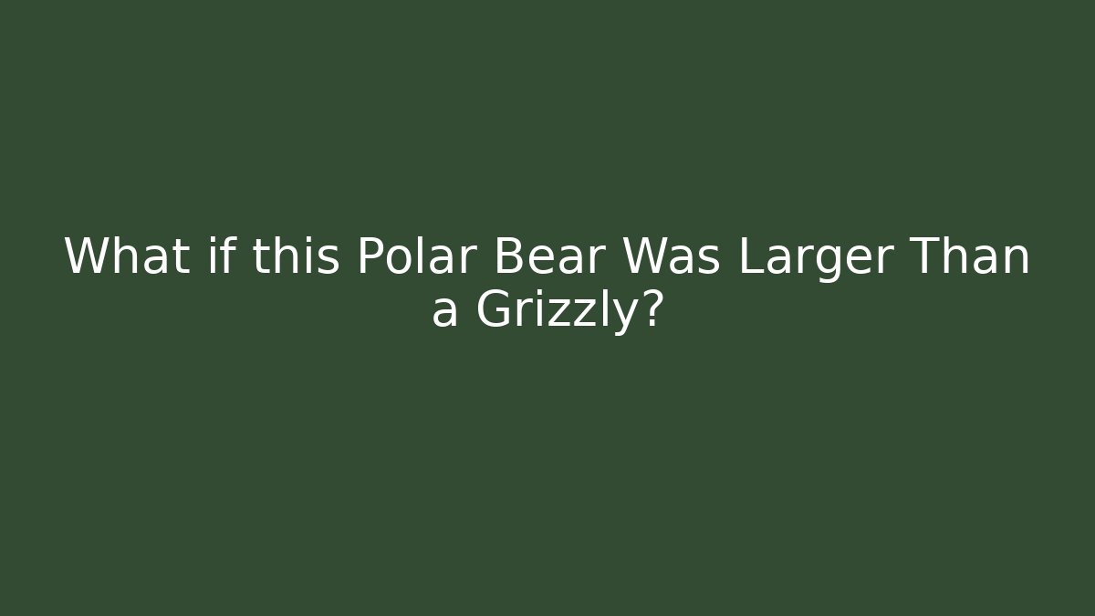 What if this Polar Bear Was Larger Than a Grizzly?