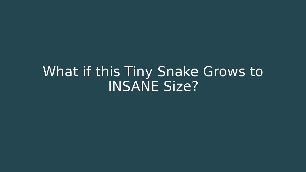 What if this Tiny Snake Grows to INSANE Size? - Critter Realm