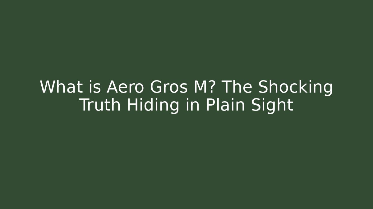What is Aero Gros M? The Shocking Truth Hiding in Plain Sight