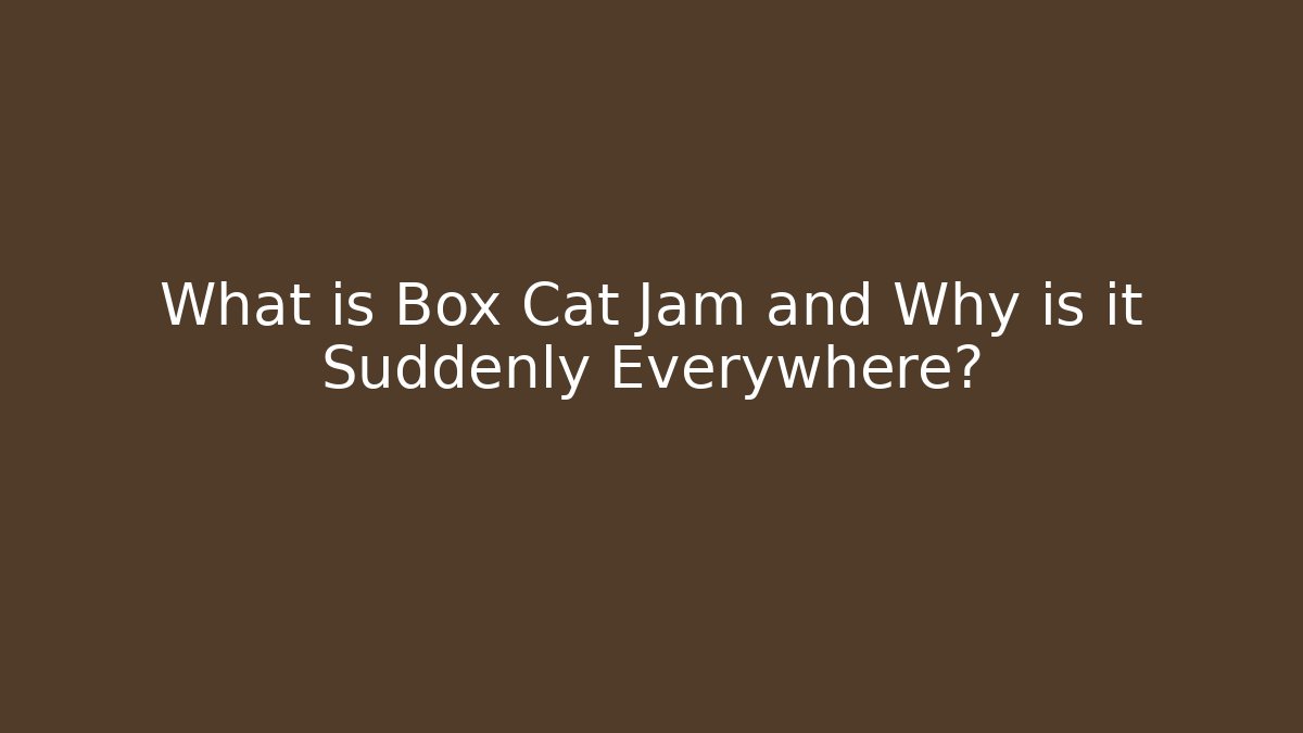 What is Box Cat Jam and Why is it Suddenly Everywhere?