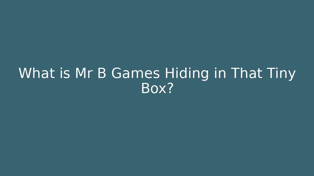 What is Mr B Games Hiding in That Tiny Box?