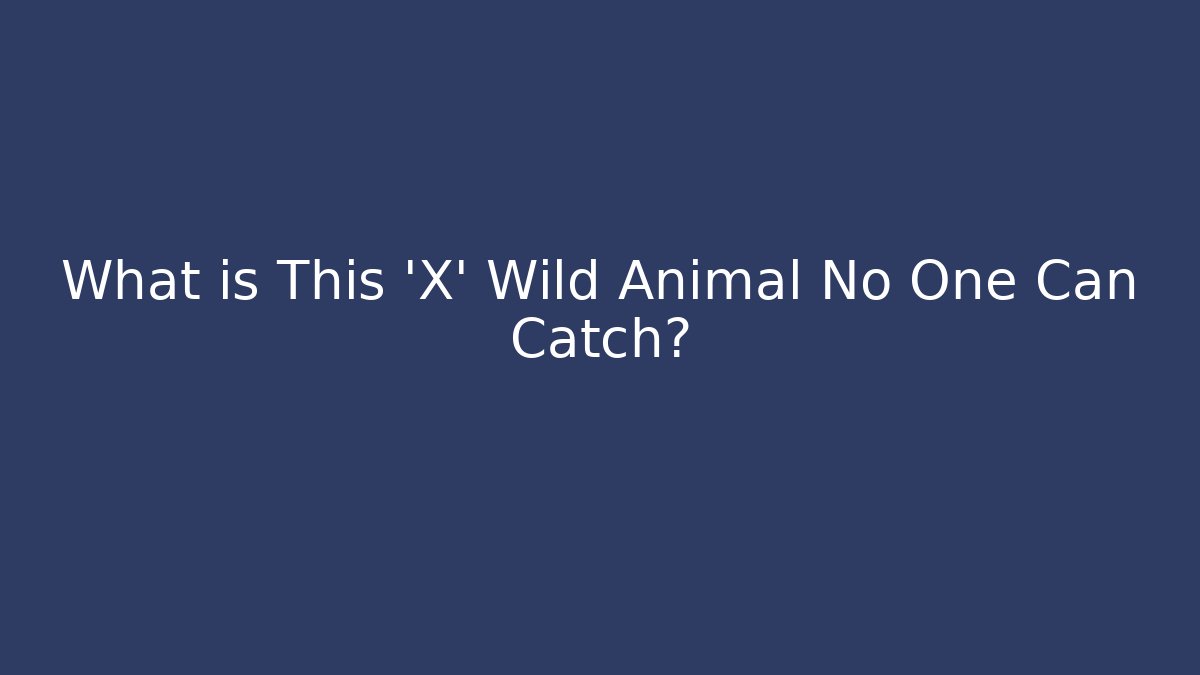 What is This 'X' Wild Animal No One Can Catch?