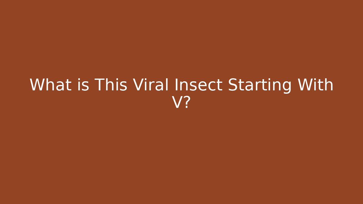 What is This Viral Insect Starting With V?