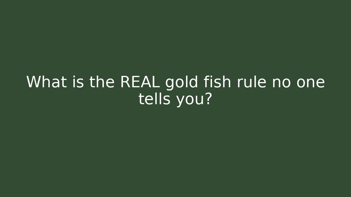 What is the REAL gold fish rule no one tells you?