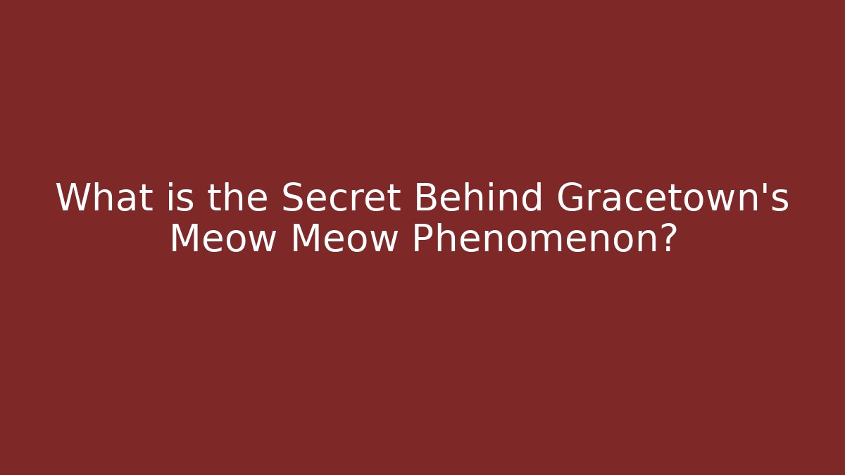 What is the Secret Behind Gracetown's Meow Meow Phenomenon?