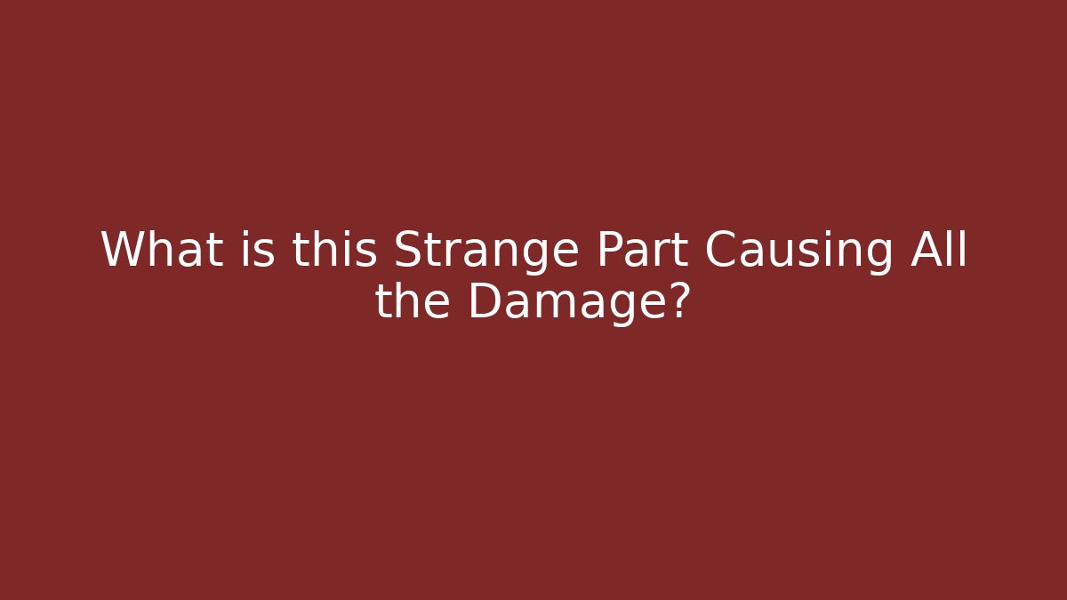 What is this Strange Part Causing All the Damage? - Critter Realm