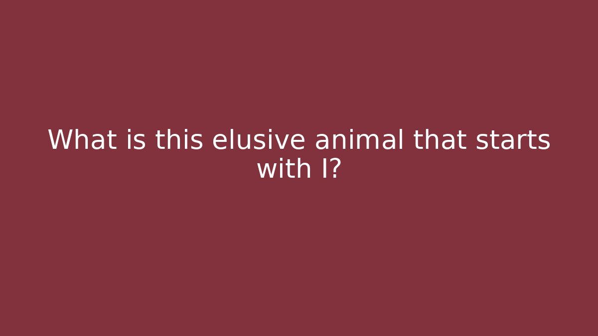 What is this elusive animal that starts with I?