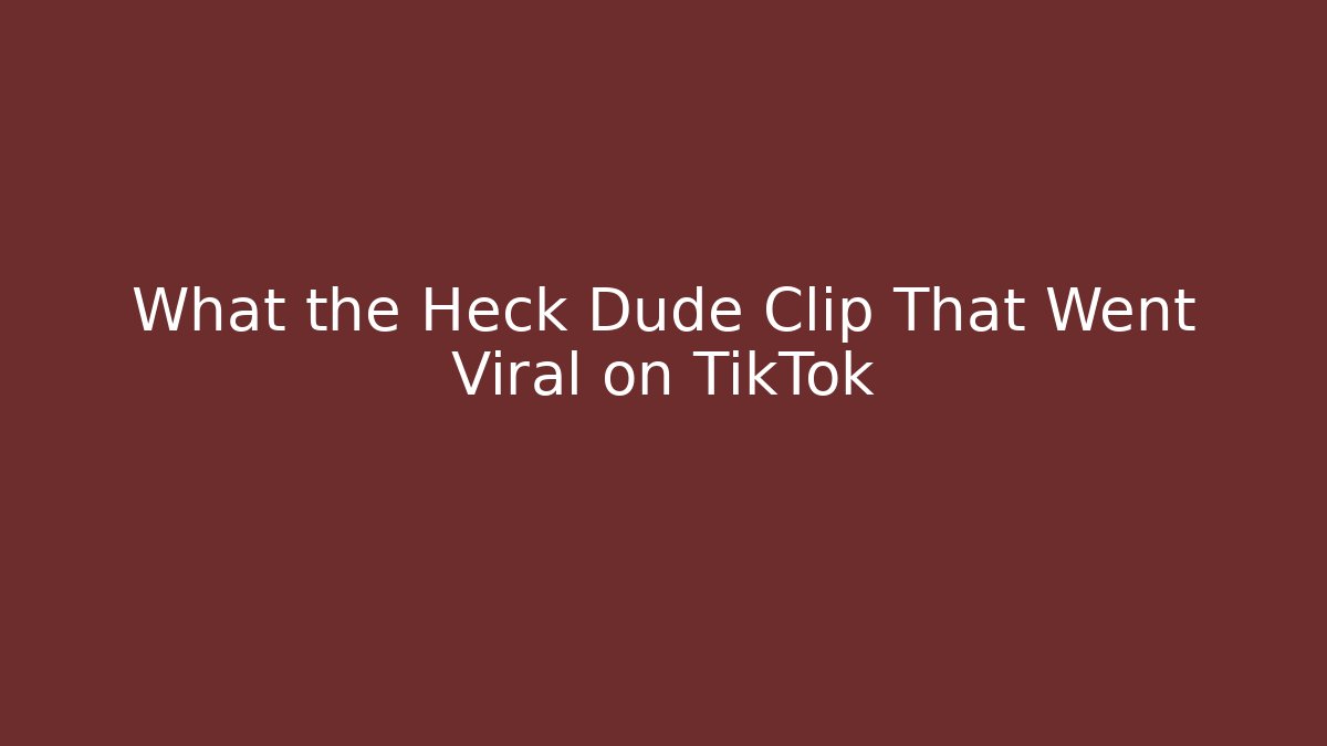 What the Heck Dude Clip That Went Viral on TikTok