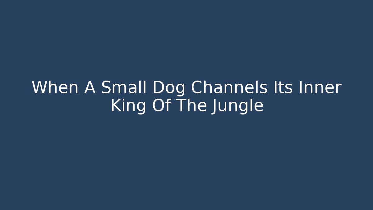 When A Small Dog Channels Its Inner King Of The Jungle