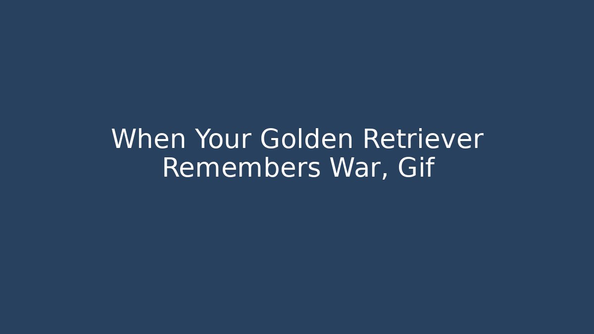 When Your Golden Retriever Remembers War, Gif - Critter Realm