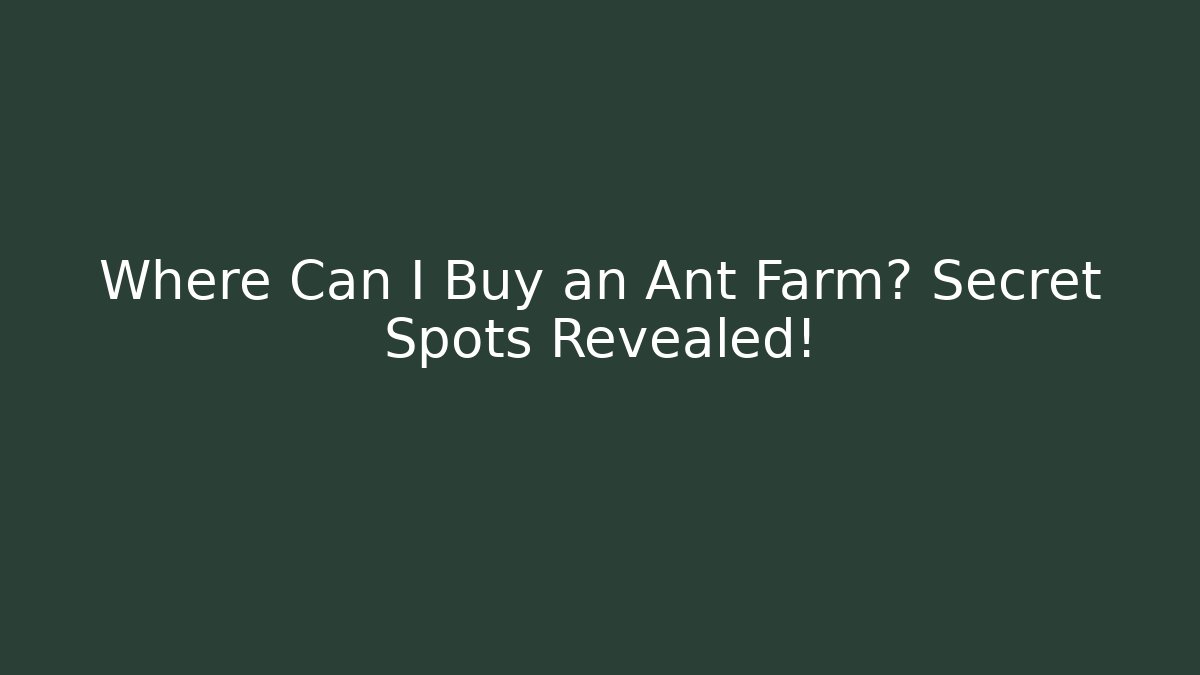 Where Can I Buy an Ant Farm? Secret Spots Revealed!
