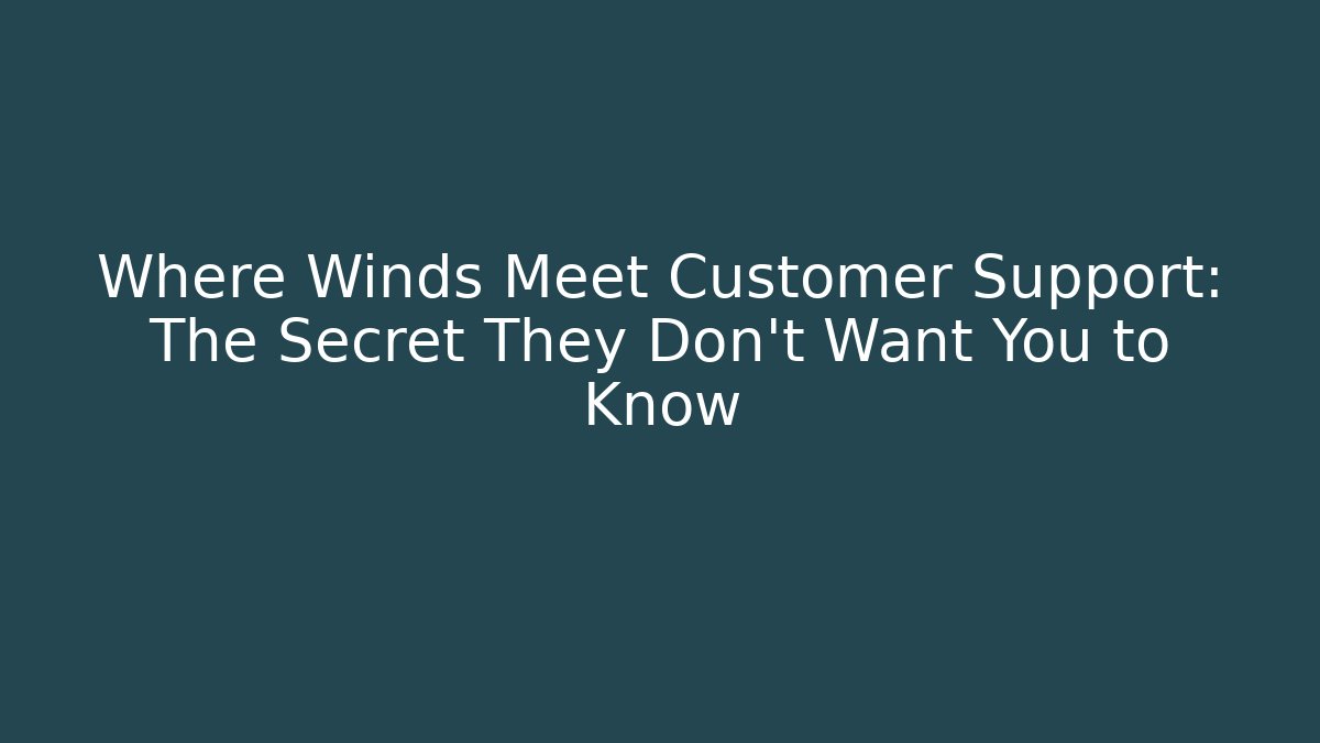 Where Winds Meet Customer Support: The Secret They Don't Want You to Know