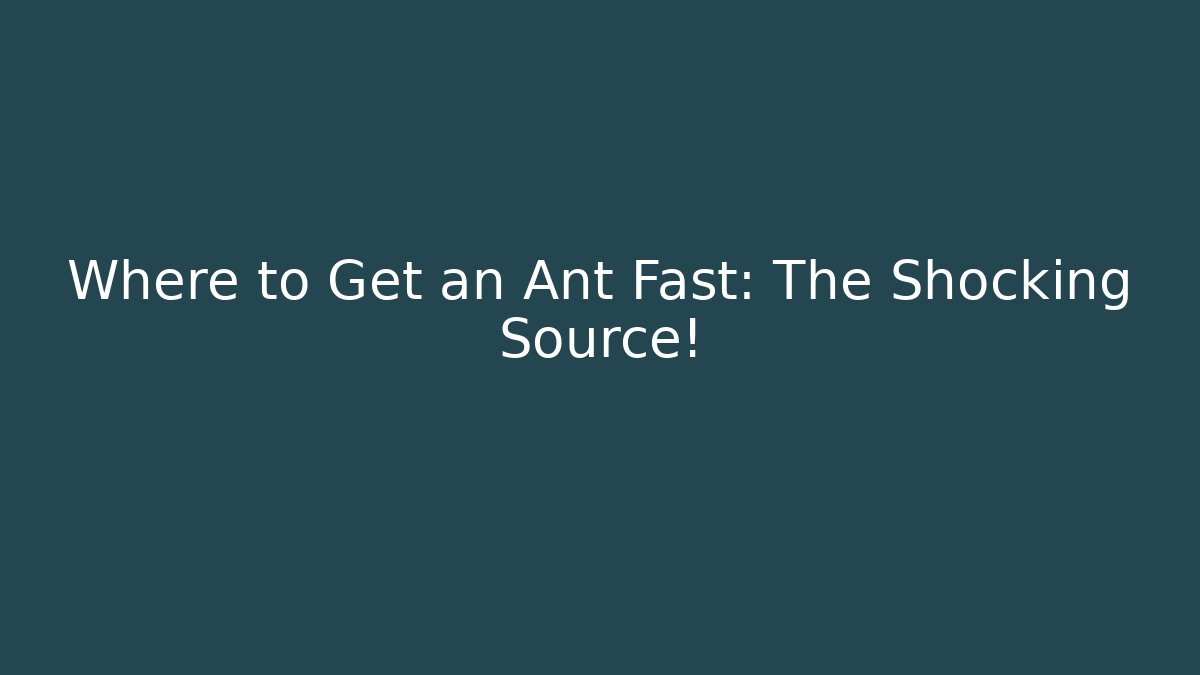 Where to Get an Ant Fast: The Shocking Source!