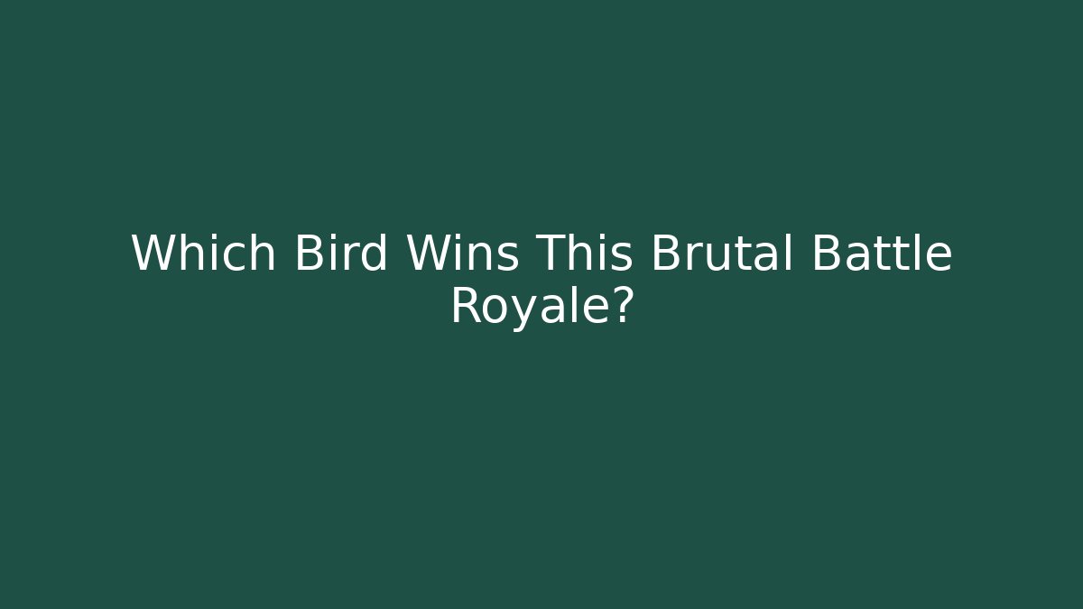 Which Bird Wins This Brutal Battle Royale?