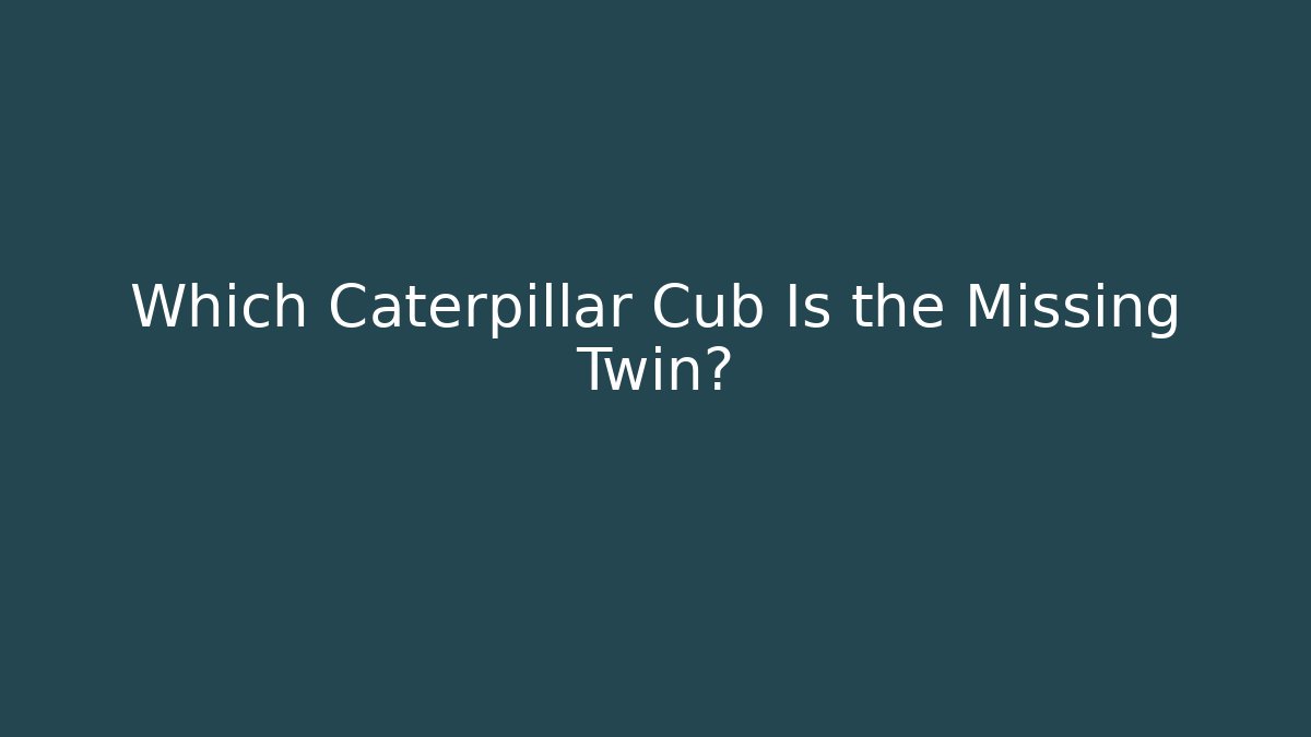 Which Caterpillar Cub Is the Missing Twin?