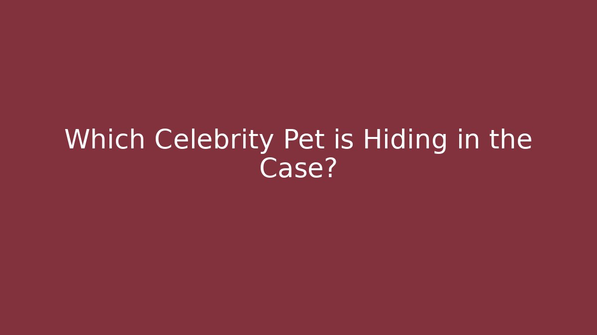 Which Celebrity Pet is Hiding in the Case?
