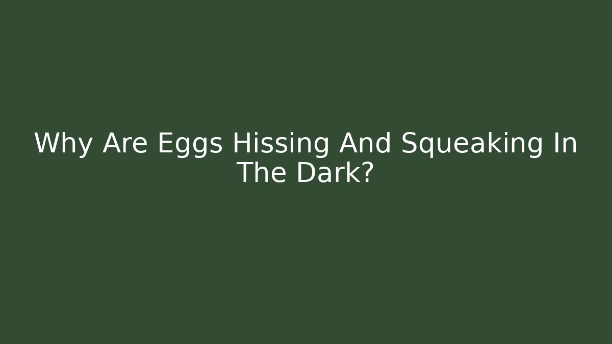 Why Are Eggs Hissing And Squeaking In The Dark?